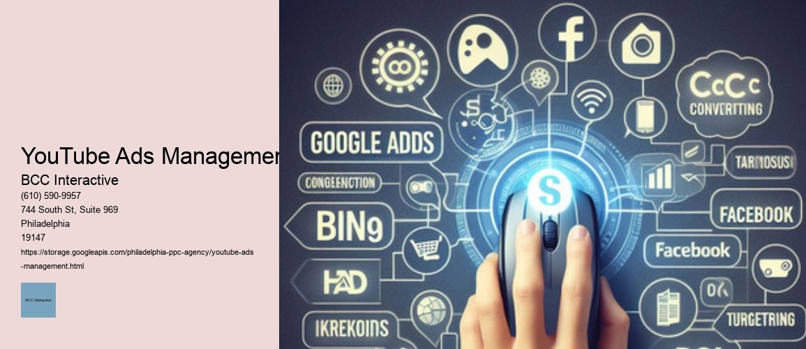 YouTube Ads Management BCC Interactive YouTube Ads Management